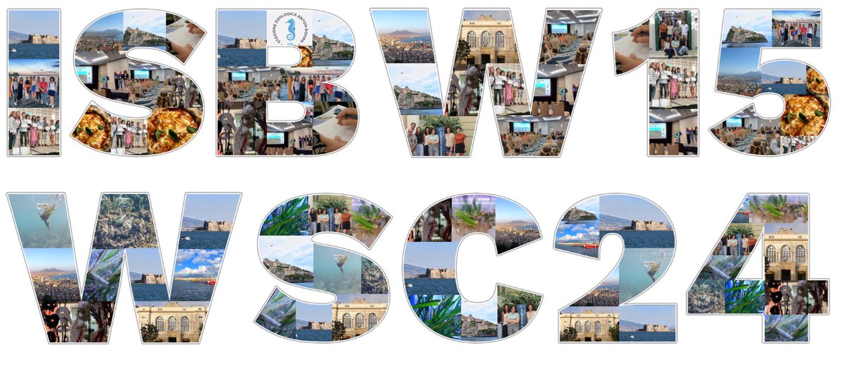 Seagrassers! 
Excited to announce the next #ISBW15 and #WSC24 (Napoli – Italy, June 2024)!
👀👉🏻 Please fill the short survey and spread the link docs.google.com/forms/d/e/1FAI… 
Stay tuned for further information 👉🏻 gpgroupszn.wixsite.com/website
