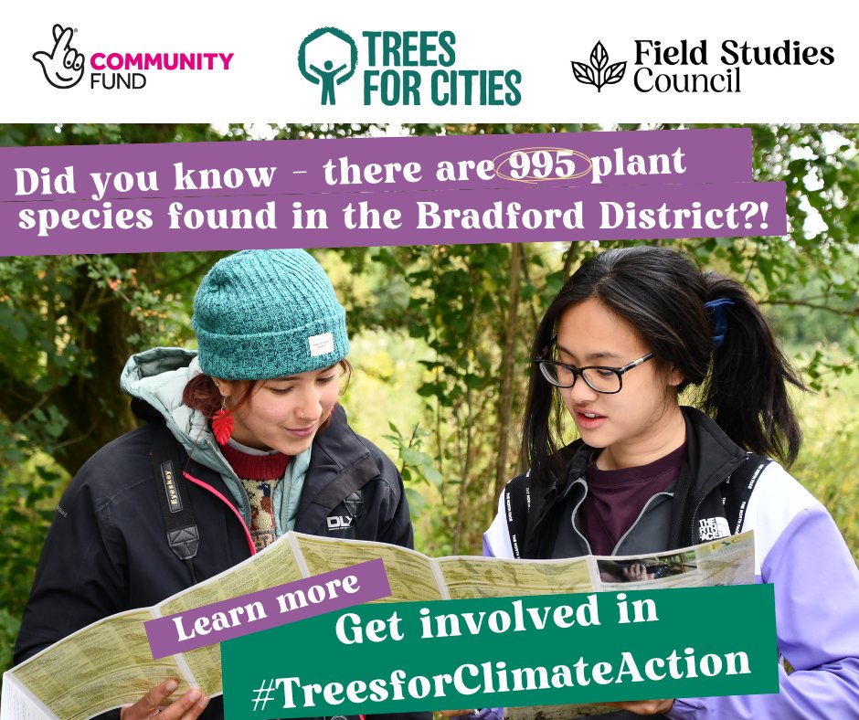 visitBradford's tweet photo. Love trees but not sure what you’re looking at?
Aged 12-30 in Bradford?
Register today to receive free tree guides tailored to our city by the Field Studies Council.
https://t.co/RAZm3Zjfz9
@TNLComFund @TreesforCities @FieldStudiesC
@QueensGreenCanopy
#TreesForClimateAction https://t.co/ohbi4WGy7I