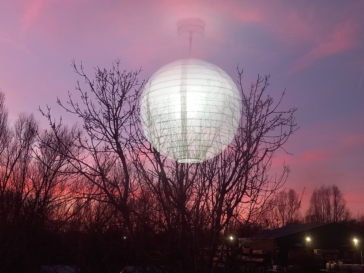 UniKentProc's tweet image. Desperately trying not to tweet cat pictures today. (Here&apos;s a photo from sunset two months ago... that&apos;s no moon... etc) - M