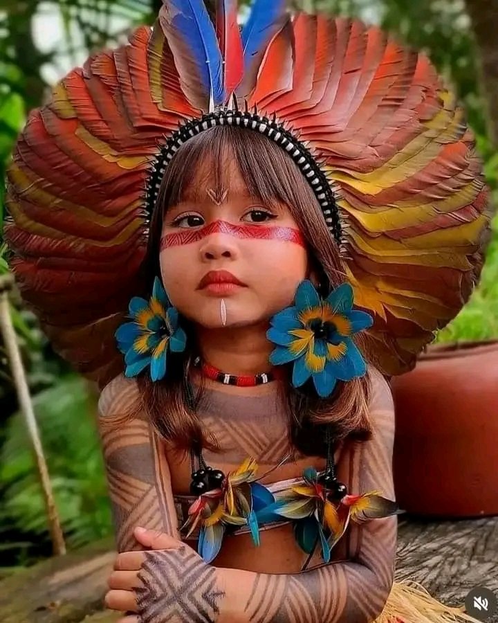 Sobre beleza brasileira