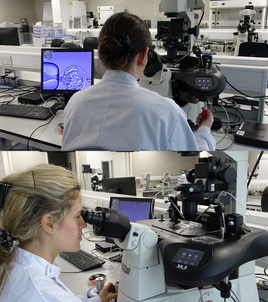 MSc in Clinical Embryology, University of Oxford tweet media