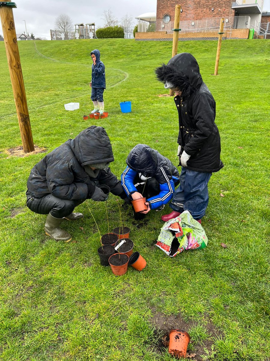 PoverestPrimary's tweet photo. Forest School pupils potting on our new Forest School Hedge border this morning. Once the trench is prepared we will begin the main hedge planting. Thank you to @WoodlandTrust for providing our hedge plants. https://t.co/lXlBtMpyeR