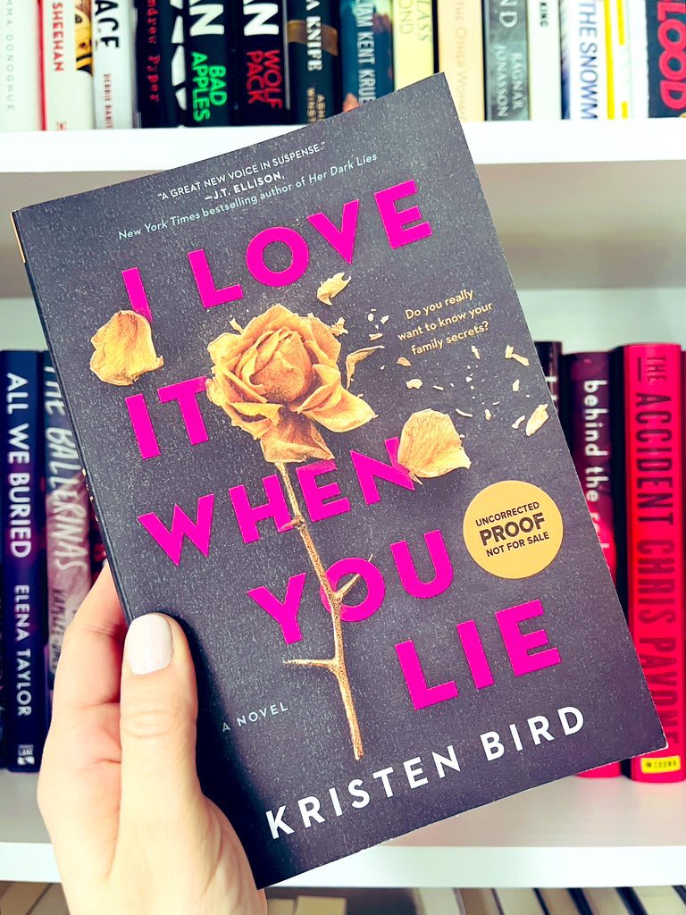 I Love It When You Lie - by Kristen Bird (Paperback)