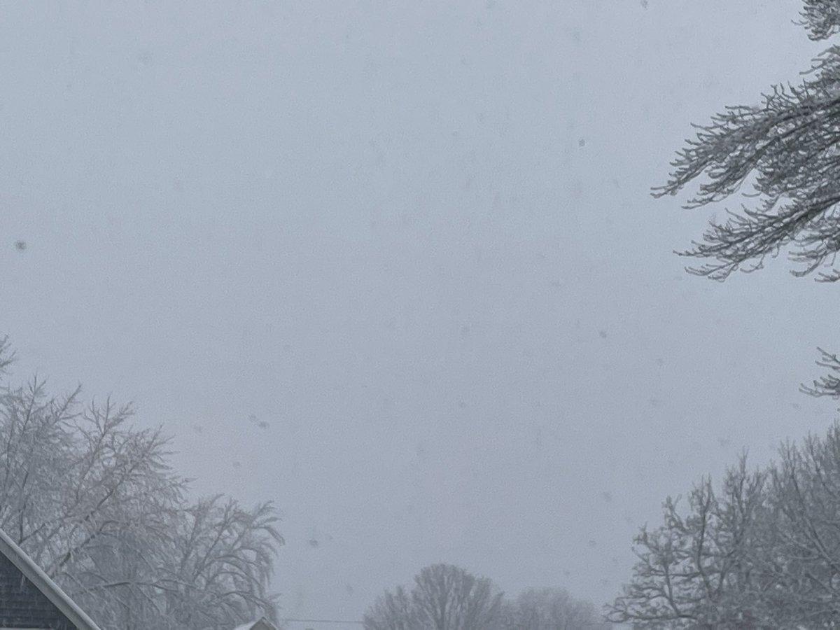 Winter wonderland today in Western Massachusetts. #massachusetts #winter #westernmass #westernmassachusetts #snow