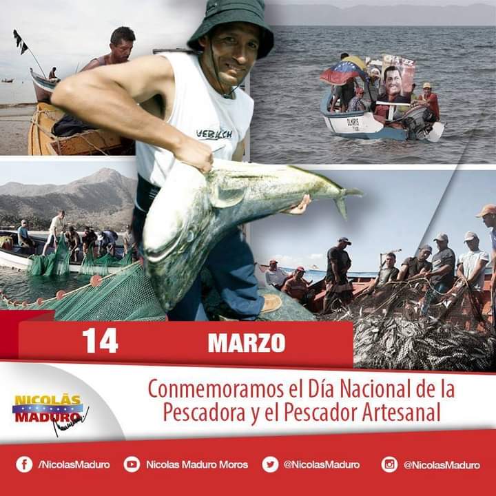 #Hoy se celebra el #Día del Pescador y pescadora 🎣 artesanal de la Patria, aquellos que con gran esfuerzo y voluntad, se lanzan a la mar para contribuir a la construcción de la nueva Venezuela productiva.
#ChávezAntiimperialista