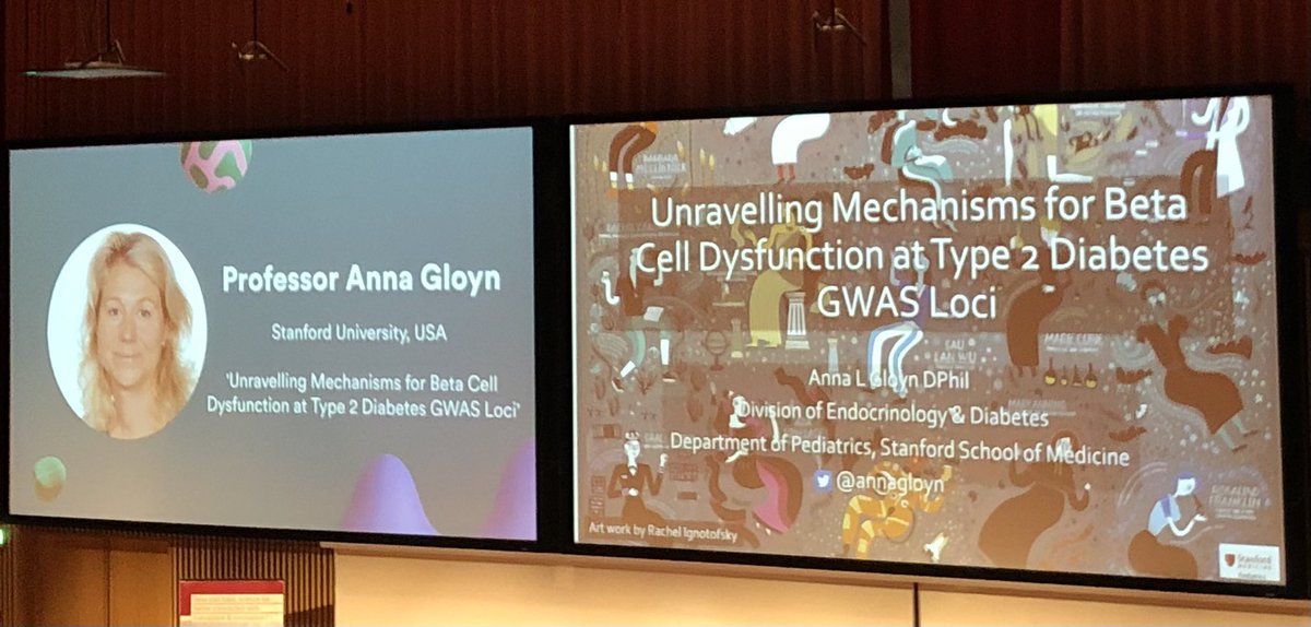 Excellent talk by <a href="/annagloyn/">Anna Gloyn</a> at #MetabolismDay on genetic mechanisms of beta-cell dysfunction in T2D! Interesting discussion on the possible importance of insulin content
