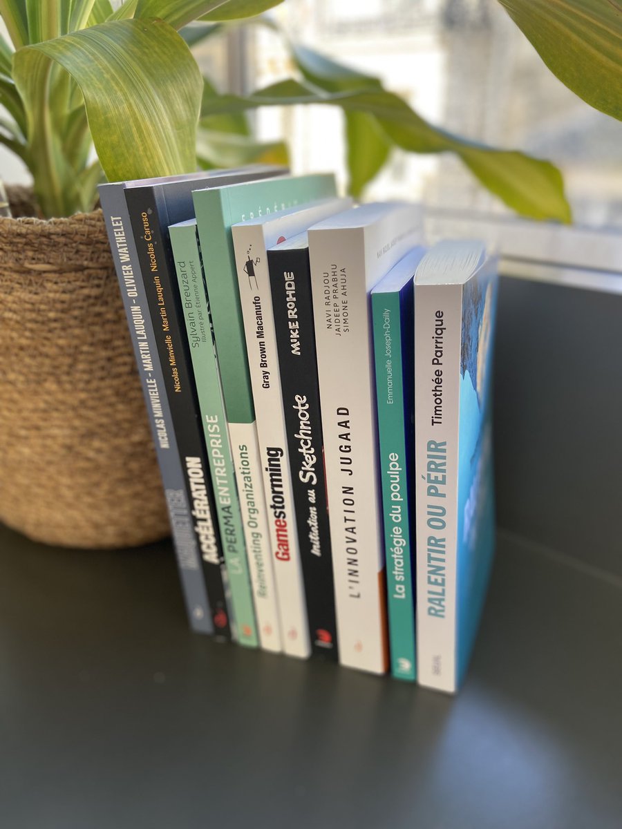 Innovation &amp; Sustainability 🌱