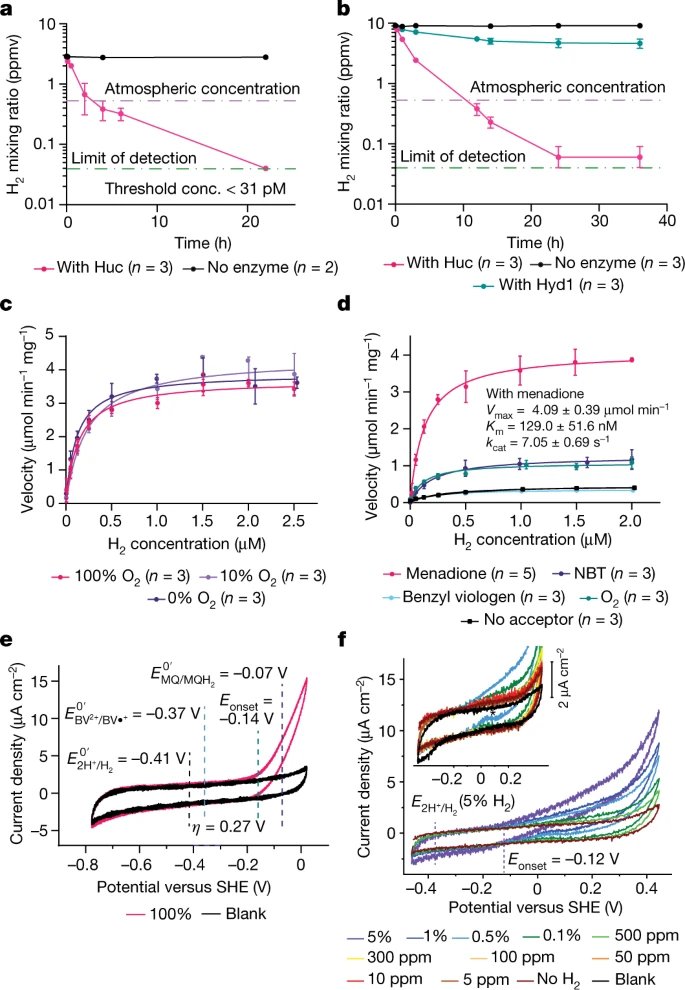 KevinKaichuang's tweet photo. A novel enzyme, Huc, consumes atmospheric levels of hydrogen gas and transfers the derived electrons for aerobic respiration. 

@Rhys__G @Ashleigh_Kropp @greeninglab

https://t.co/NsTGs07MOR https://t.co/Xj2Nf4IafU