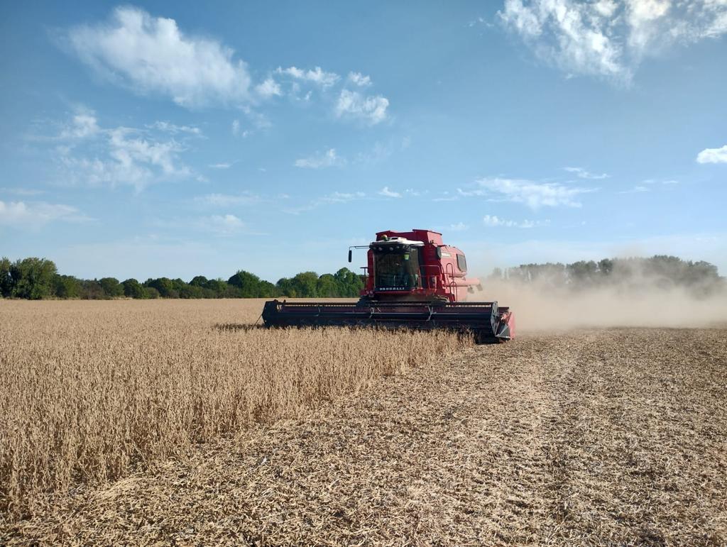 Ingenieriii's tweet photo. Se reportan datos de los 1ros lotes cosecha soja de 1ra. Campaña 22/23. Ruta 5, km 217, Bragado, Bs. As. Suelos clase 1.
Variedad grupo III. Sembrada el 17/10.
Rendimiento final: 168 kg/ha... sí, leyeron bien: 168 kg/ha. https://t.co/iXhnpi4Vjd