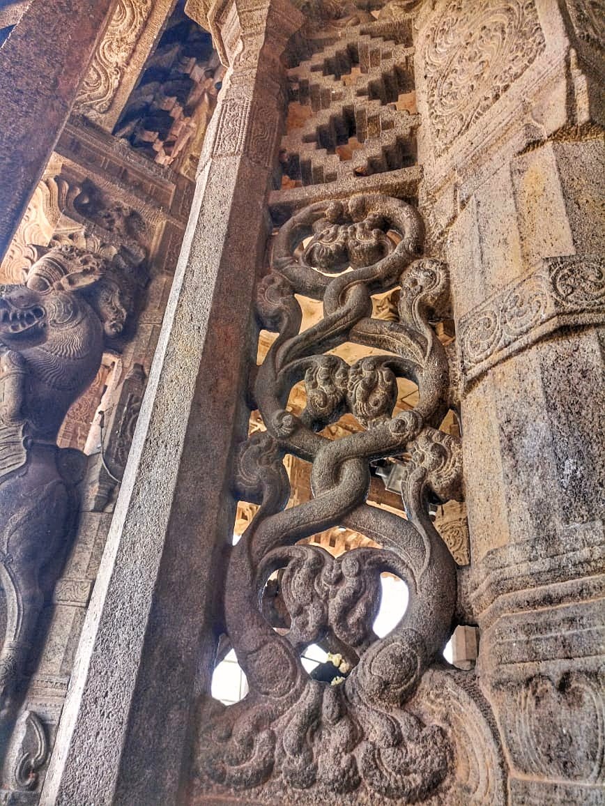 UpdatesTanjore's tweet photo. ✨Marvel of Thanjavur✨
#ThanjavurBigTemple #Yali
#TheCholas #HeritageCity 🇮🇳 https://t.co/Pv9Gcd577G