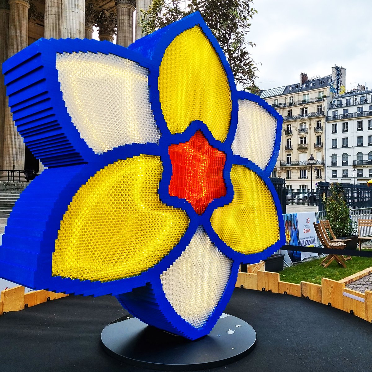 institut_curie's tweet photo. Top départ de notre campagne nationale #UneJonquilleContreLeCancer 
Jusqu'au 26 mars, partout en France, participez à nos opérations de solidarité et à notre course connectée. Et jusqu’au 18 mars, sur la place du Panthéon à Paris. 
Pour nous soutenir 
➡️ https://t.co/PWLN8P9UzE https://t.co/R8L4I0Alox