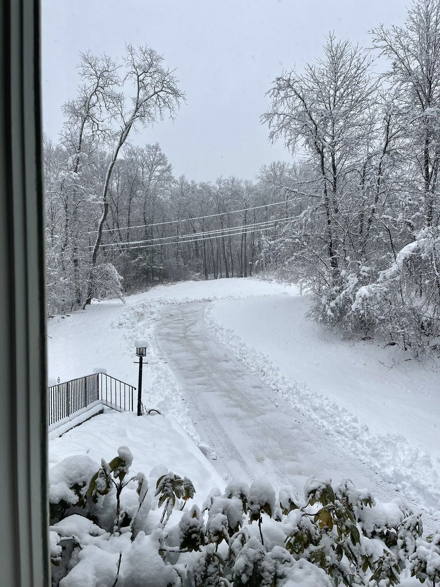 drjuliebraines's tweet photo. @BenNollWeather Hyde Park https://t.co/kLAKLCw7cM