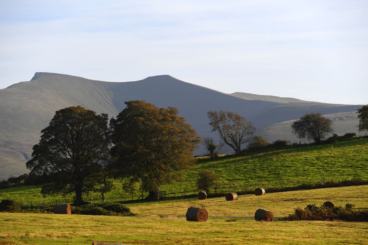 Our consultation on a statutory licensing scheme for all visitor accommodation providers in Wales closes 17 March. 

Share your thoughts on how to make it work and any concerns you may have by completing the consultation 
👉 ow.ly/AB0A50NaXl5 #StatutoryLicensingScheme