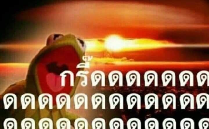 จูจู but ย้ายเเอค tweet media