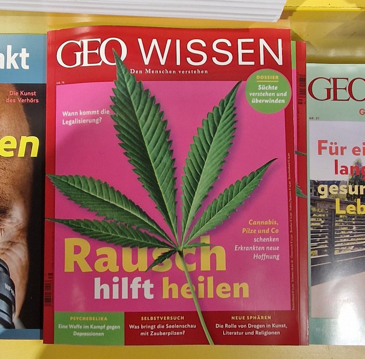 Rausch hilft heilen! 🥦🍄❤️‍🩹
Der Krieg gegen 'illegale' Drogen ist ein Krieg gegen die Menschen!

#Entkriminalisierung #EigenanbauStraffrei  #WeedHelpsMe #Eigenverantwortung #Weedmob
#EndWarOnDrugs #StandUp4HumanRights #harmreductionsaveslives #supportdontpunish #INCB #CND66 #UN