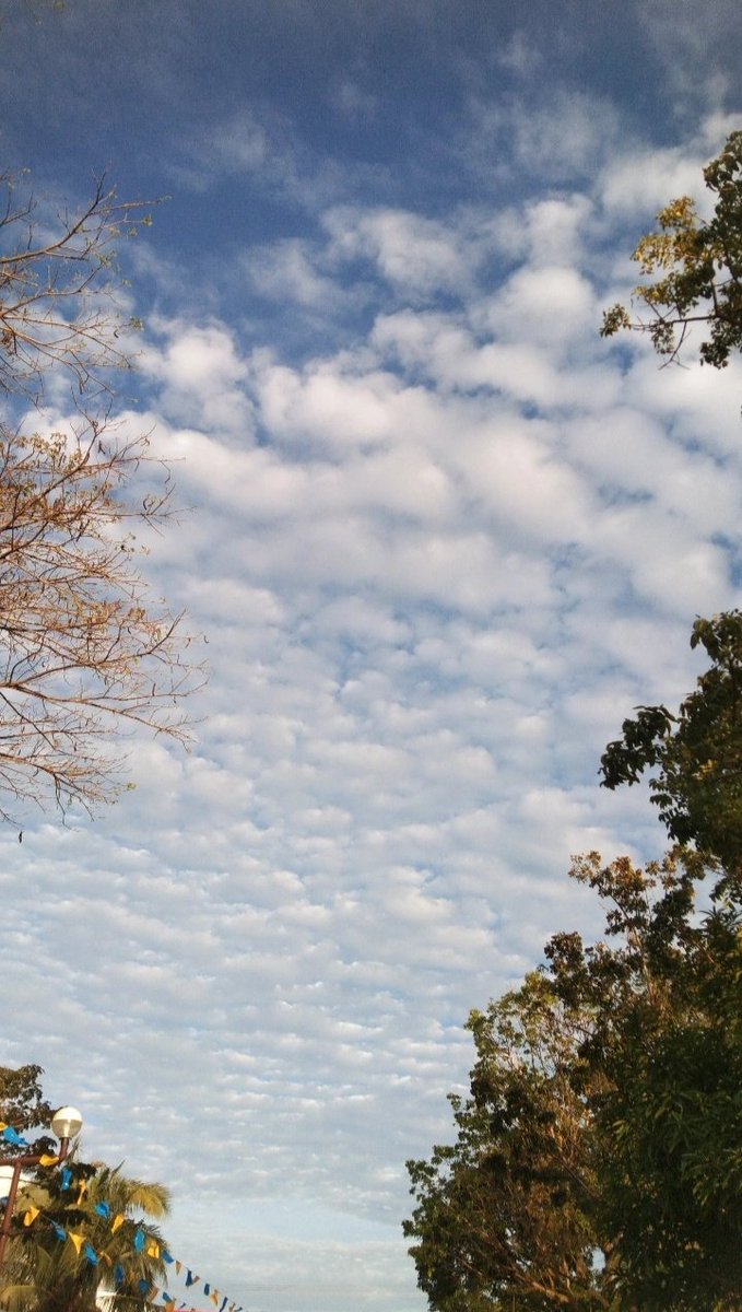 Kalwidc's tweet photo. Afternoon sky ☁️✨ https://t.co/WiqY2kLYtG