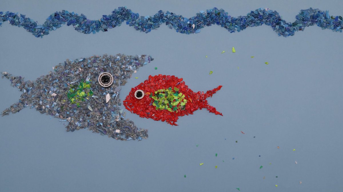 trueocean222's tweet photo. https://t.co/J9Cvewznpr