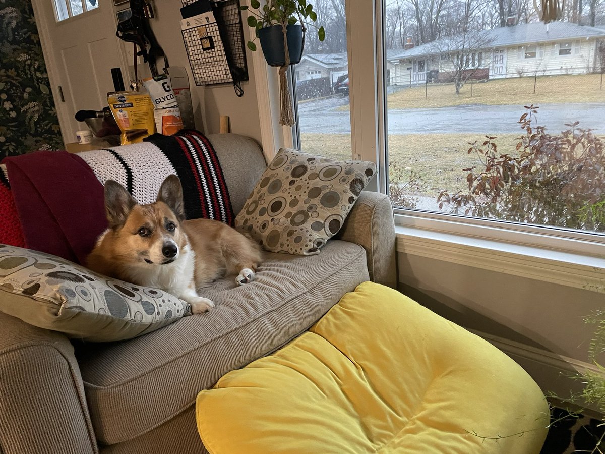 Joe Ruscio tweet media