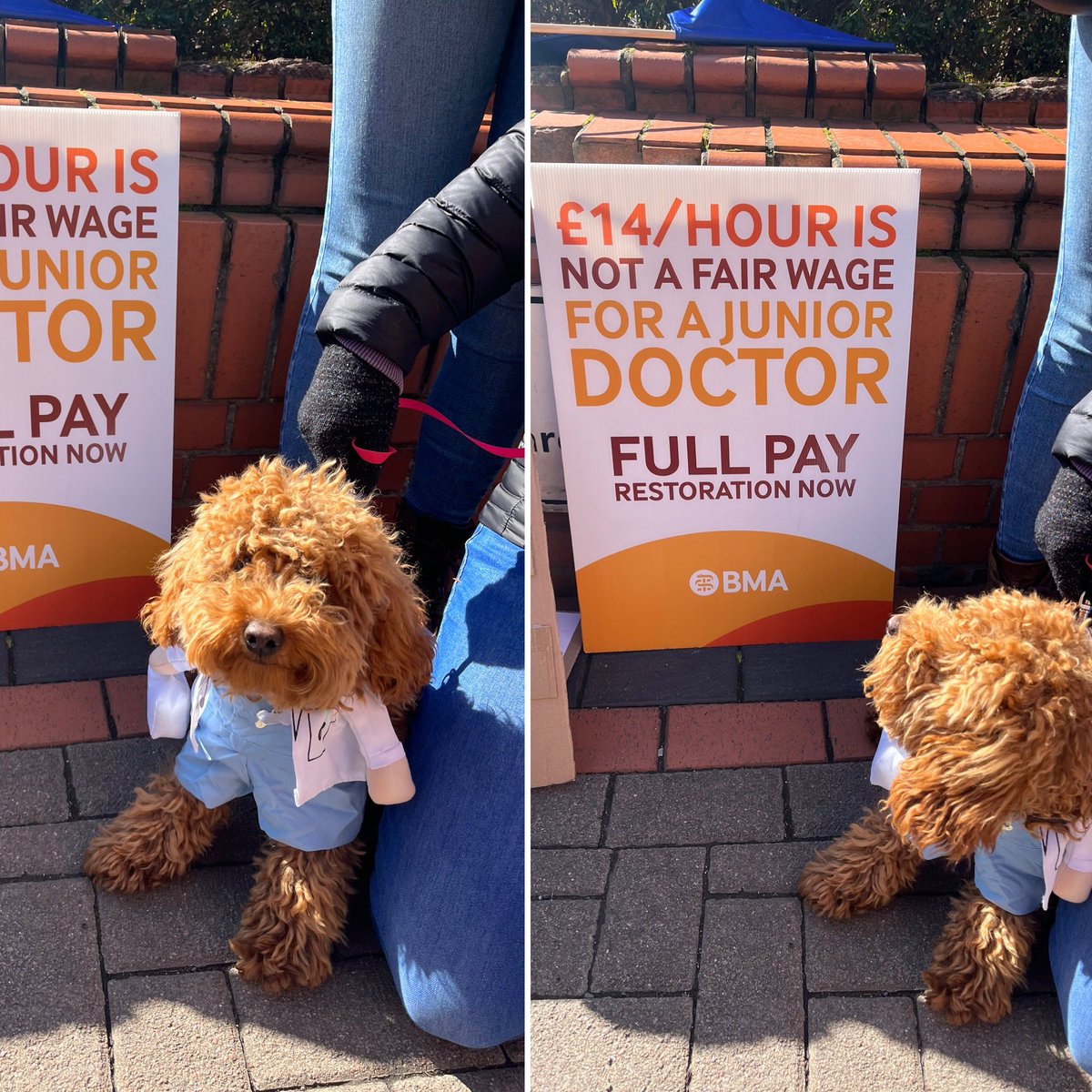 The #Dogtor is supporting her pals at the LGI!
#JuniorDoctorsStrike