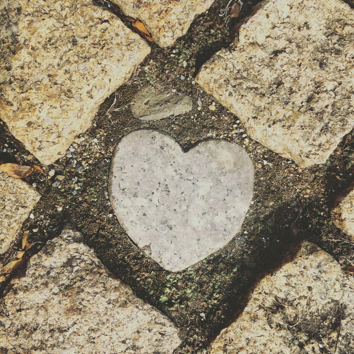ハートの石 長崎で噂の恋が叶うスポット！眼鏡橋のハート石の場所は？ | ながさき