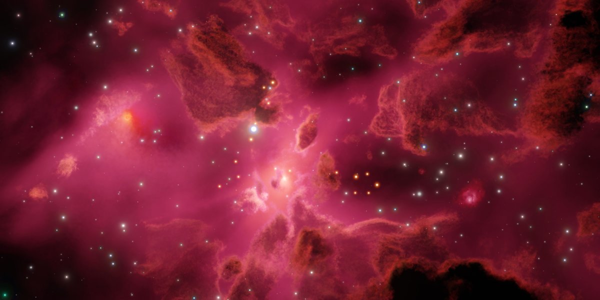 STELLALUNA tweet media