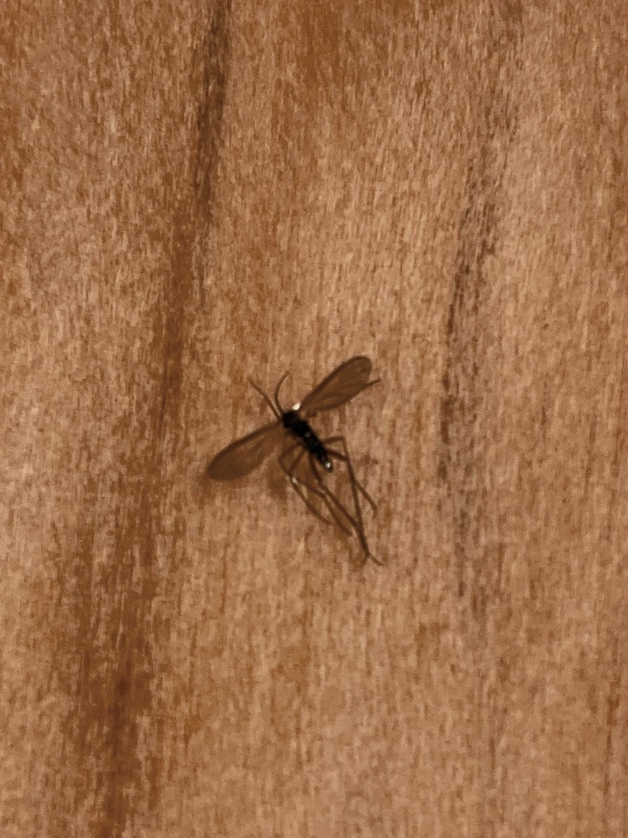 Its just one of those days....