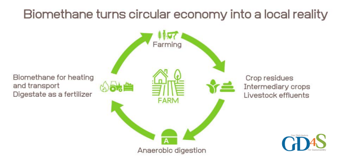 #AnaerobicDigestion produces #biogas that can be upgrated to sustainable #biomethane, a #renewablegas of the same quality as natural #gas🍃
This makes #wastemanagement more cost efficient, improves #soil quality when using intermediary crops & strenghtens #CircularEconomy ⤵️