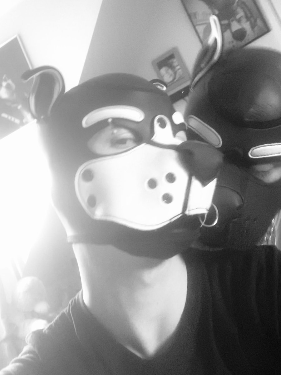 Orca_puppo's tweet photo. Daddy and his boy… can’t get a better boy than him https://t.co/hpuingSjDV