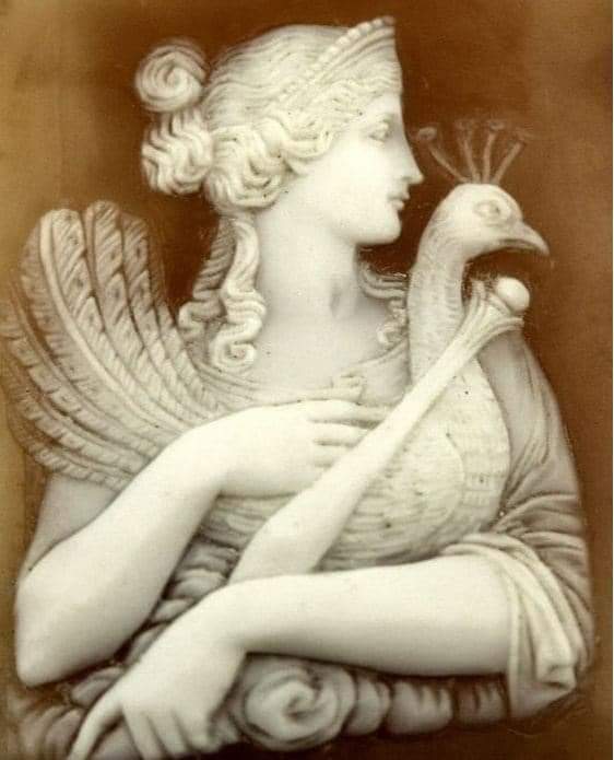 DanaanStrix's tweet photo. #hellenism #hellenismos #greekreligion #hellenicreligion #hellenicpolytheism #ancientgreekreligion #hellenicgods #greekgods #theoi #ancientgreece #greekart #greekmythology #hellenicpagan #hellenicpaganism #greekpagan #greekpaganism https://t.co/dSmqFbt7M9