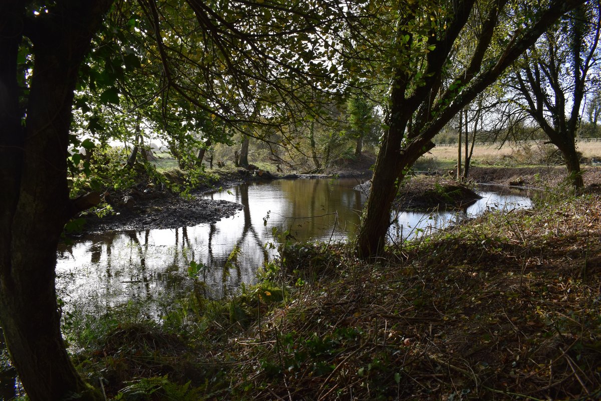New blog post documenting 7 months of restoration of a derelict wildlife pond system.

geoffdann.co.uk/wildlife-pond-…

#wildlifegarden