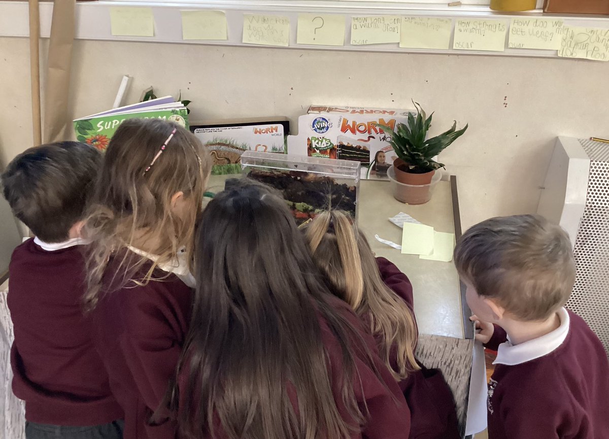 JORPS_1's tweet photo. πͺ±Our EYFS children are curious to find out more about worms. They have shown such awe and wonder when observing the worms in our womery. πͺ±#makinglearningmemorable #askraptors https://t.co/HohrOc0mdK