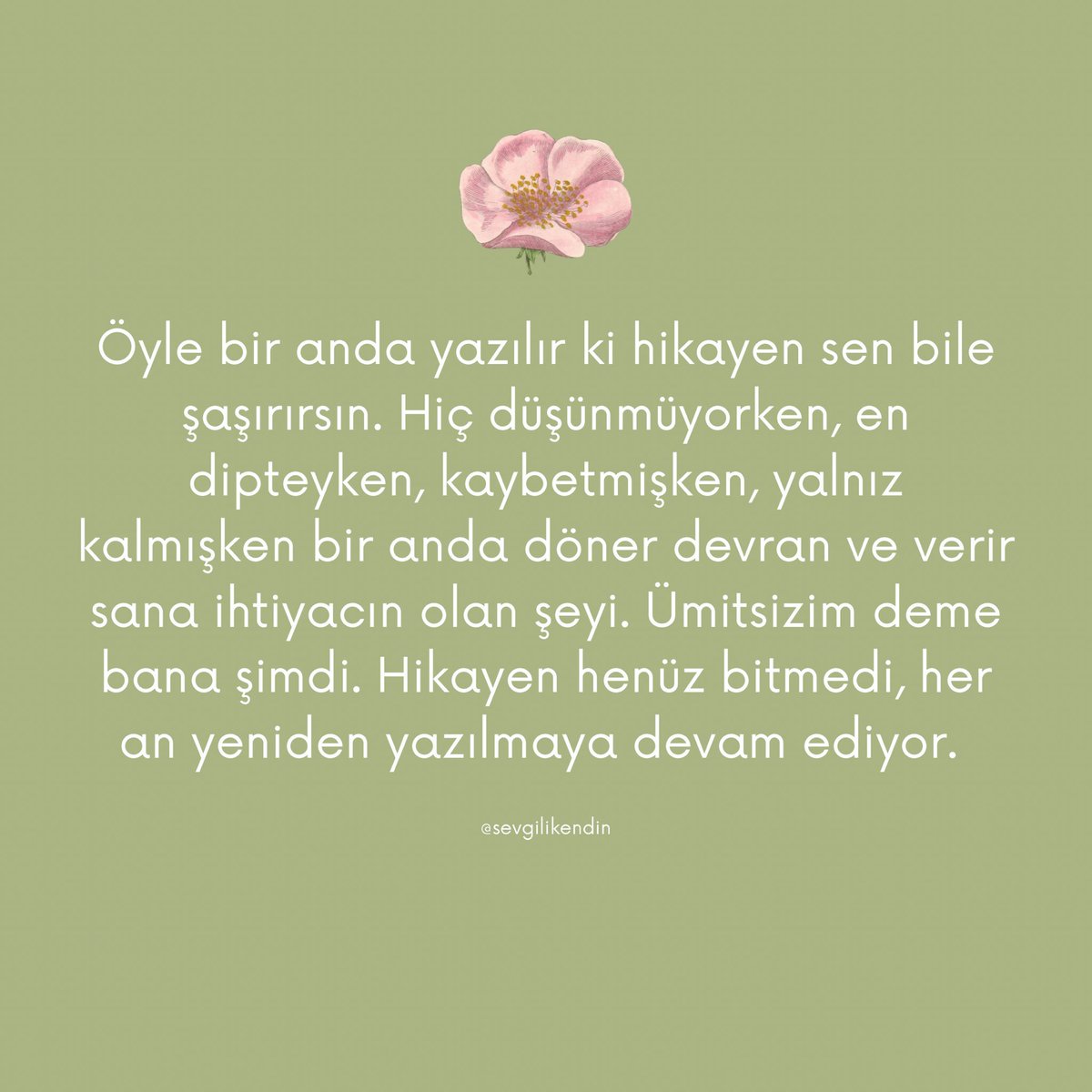 Sevgili kendim, (@sevgilikendin) on Twitter photo 