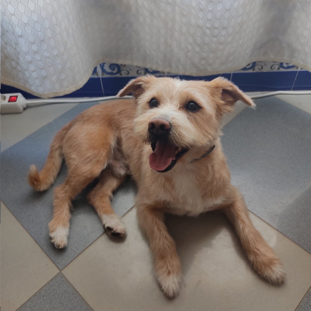 Comiilolas🍭 tweet media