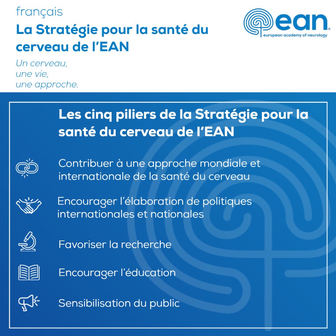 EANeurology's tweet photo. It's #BrainAwarenessWeek this week!
Did you know our published Brain Health Strategy paper is available in several languages in addition to English? You can visit our website to download the paper in your own language.
👉https://t.co/ecdHKsnuTp
#BrianHealth #BrainHealthForAll https://t.co/9V4leg0tAs
