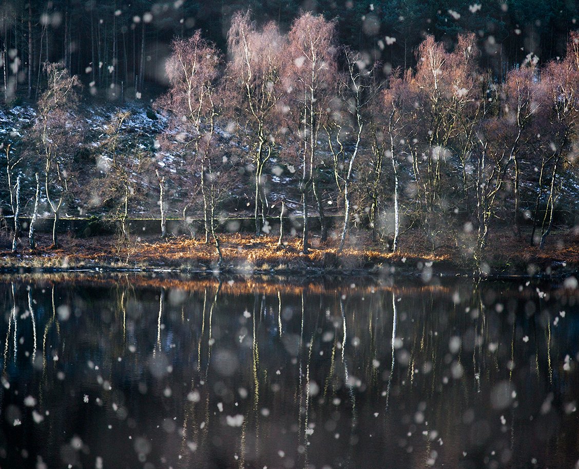dunfordbridge's tweet photo. Sun and Snow at Langsett Reservoir near Holmfirth, Yorkshire, UK.
@YorkshireWater #holmfirth #langsett #peakdistrict #Pennines #YORKSHIRE #birchtree #snowday #landscapephotography #winter @KeeleyDonovan @BBCLookNorth #walkingwild @StormHour @bbcweather https://t.co/nWG9iQqhtz
