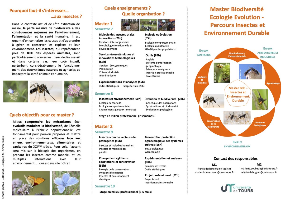 Découvrez le nouveau Master "Biodiversité Ecologie Evolution, parcours Insectes et Environnement Durable" proposé par l'<a href="/IRBI_Tours/">IRBI</a> à l'université de Tours @UnivTours. Vous souhaitez une formation de qualité en entomologie aux multiples débouchés, n'hésitez pas !