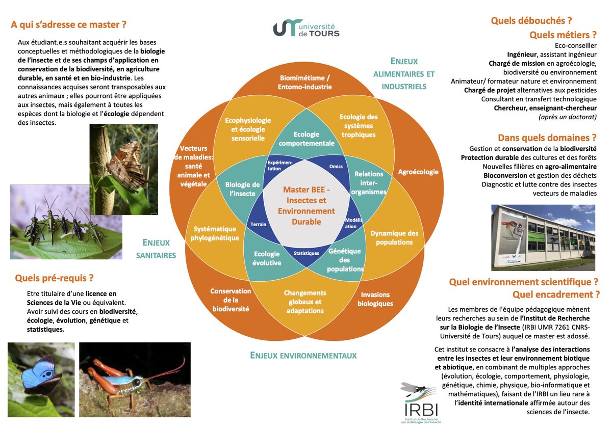 PassionEntomo's tweet photo. Découvrez le nouveau Master "Biodiversité Ecologie Evolution, parcours Insectes et Environnement Durable" proposé par l'@IRBI_Tours à l'université de Tours @UnivTours. Vous souhaitez une formation de qualité en entomologie aux multiples débouchés, n'hésitez pas ! https://t.co/H8EFjKa7Dx