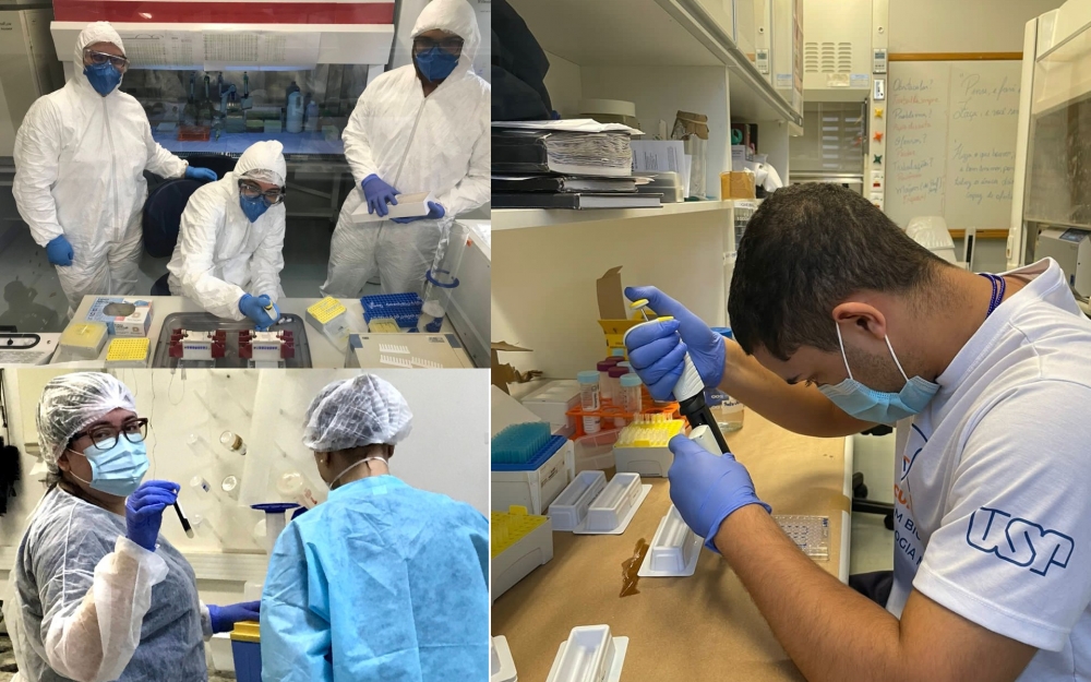 AgenciaFAPESP's tweet image. Estudo revela novo mecanismo de ação dos #corticoides no combate à inflamação causada pela #COVID19. Descrita em @VirusesMDPI, a descoberta aponta novas possibilidades de tratamento para diversas doenças inflamatórias e neurológicas. agencia.fapesp.br/40882/