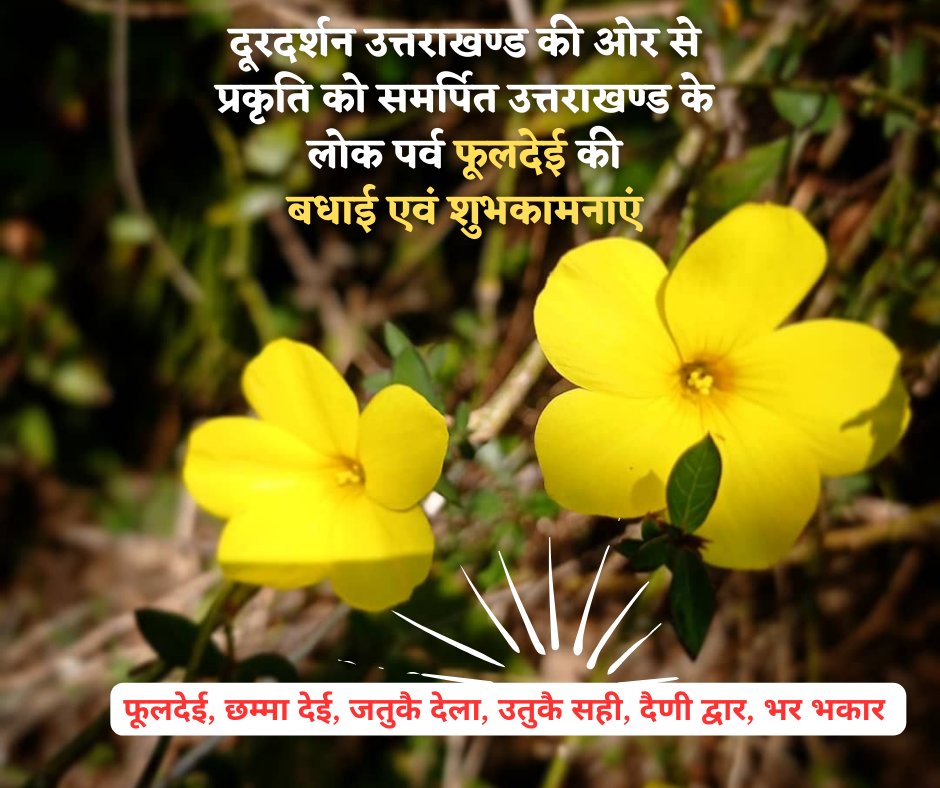 dduttarakhand's tweet photo. दूरदर्शन उत्तराखण्ड की 
ओर से उत्तराखण्ड के 
लोक पर्व "फूलदेई" की 
बधाई एवं शुभकामनाएं। 

#uttarakhand #Doordarshan #DDUttarakhand #phooldei https://t.co/UK5jha8NKC