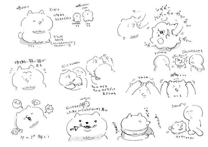 うちのイヌ 