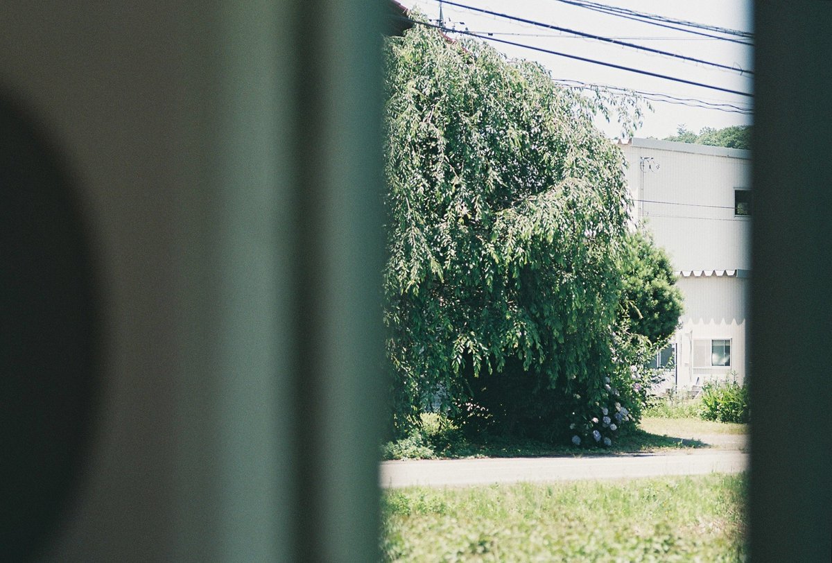 ks___phot's tweet photo. film https://t.co/AEXkRCX5sr