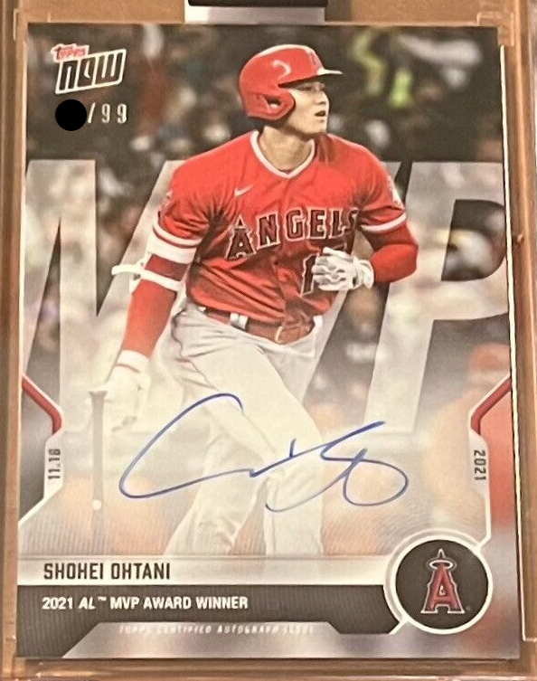 専門店の安心の1ヶ月保証付 【世界49枚限定】大谷翔平 100号ホームラン