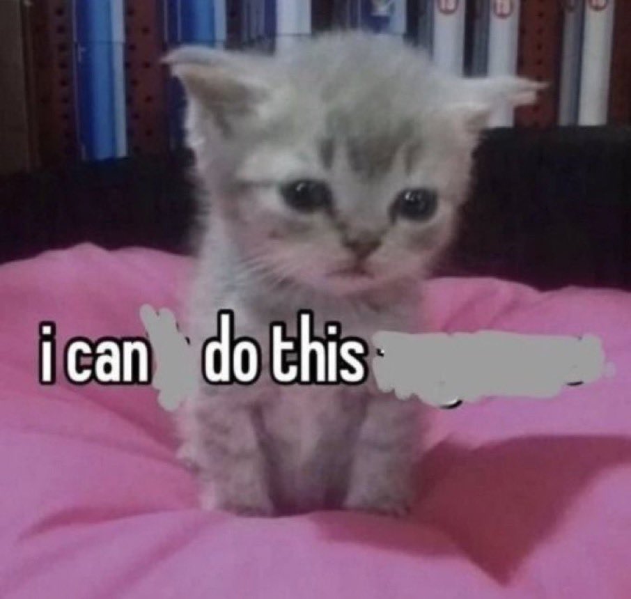 aïsha ༉‧₊˚. (@hibiscusgyaru) on Twitter photo 