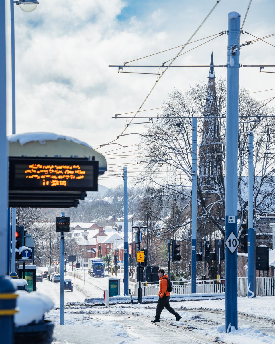 sheffielduni's tweet photo. Stunning views of campus during last week's snowfall 😍 https://t.co/STKFUMBXcL