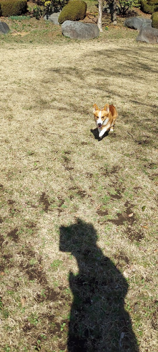 こないだ転んでバチクソ身体痛いけど公園で遊んできたよ😇