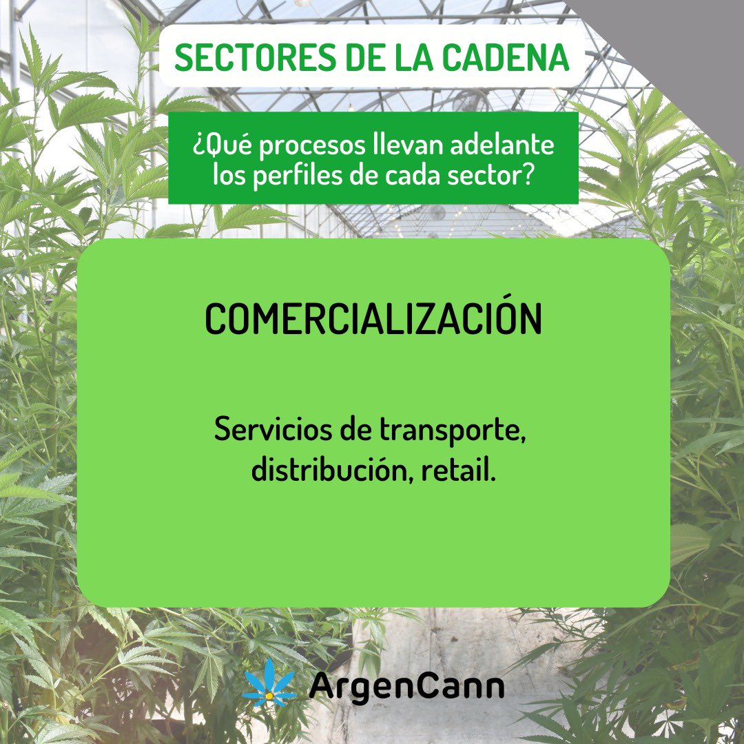 ArgenCann's tweet photo. En esta primera entrega distinguimos qué procesos  se llevan adelante en cada sector. https://t.co/KA3mKGYIiU