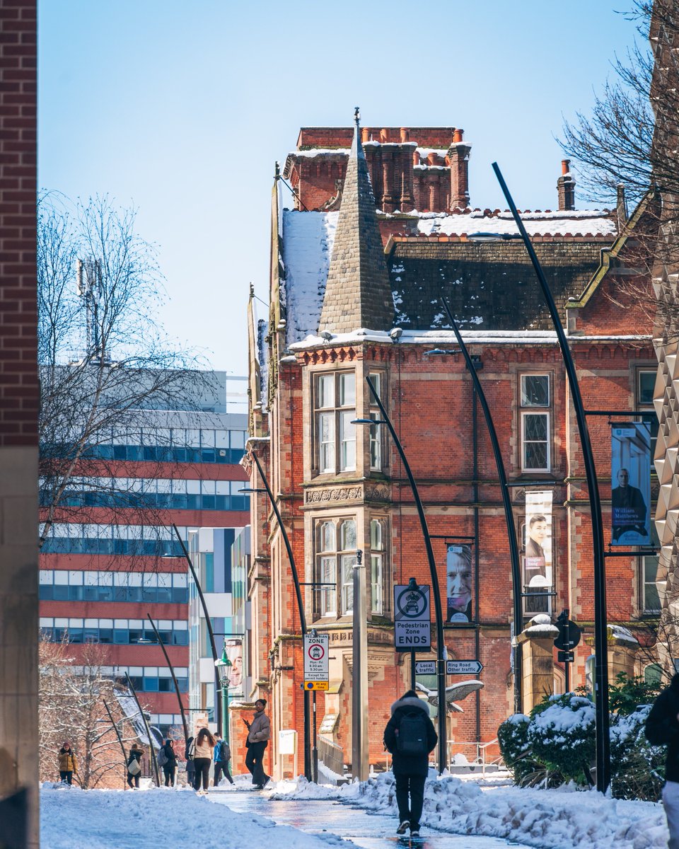 sheffielduni's tweet photo. Stunning views of campus during last week's snowfall 😍 https://t.co/STKFUMBXcL