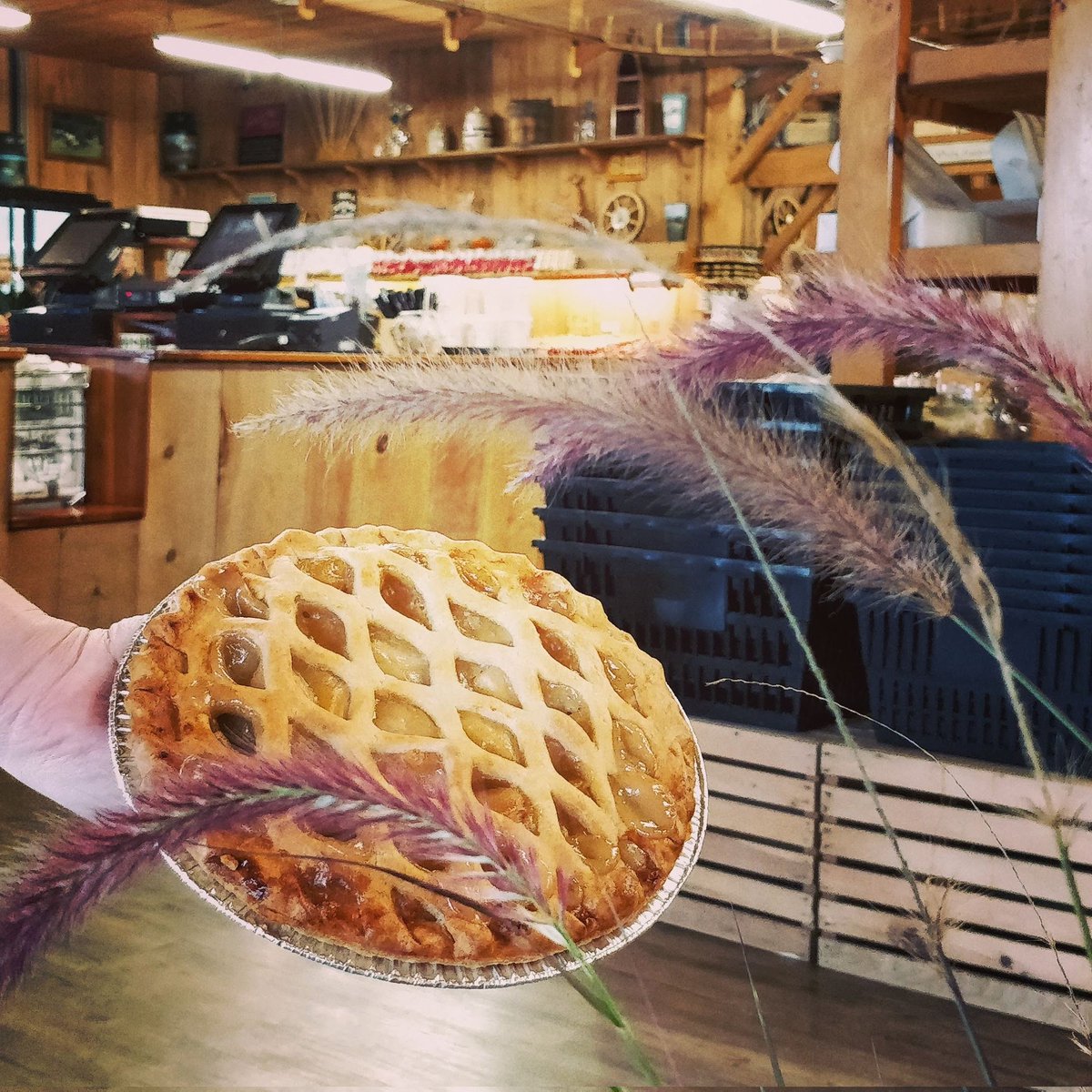 herrlesmarket_'s tweet photo. Goodmorning and happy #picoftheday #piDay2023

Thank you for all your kindness and support with helping me rebuild this twitter  account... 🤗

A little more than 3 months for #herrlesopeningday 2023 ☺ were getting excited! https://t.co/IQBl6OJgkU
