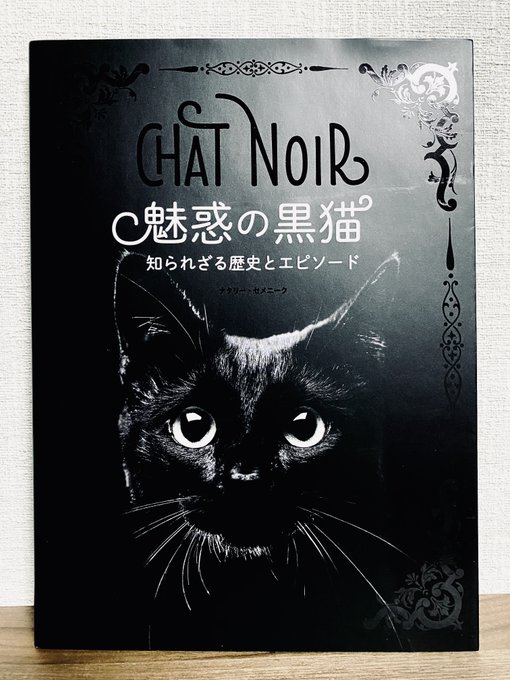 唐突に蔵書紹介シリーズ📕(2回目)
『魅惑の黒猫』
不吉だと忌み嫌われた歴史から芸術家に愛される黒猫までとにかく全てが黒猫尽くし✨ポーの傑作短編である黒猫まで丸ごと載ってる贅沢な一冊😍 