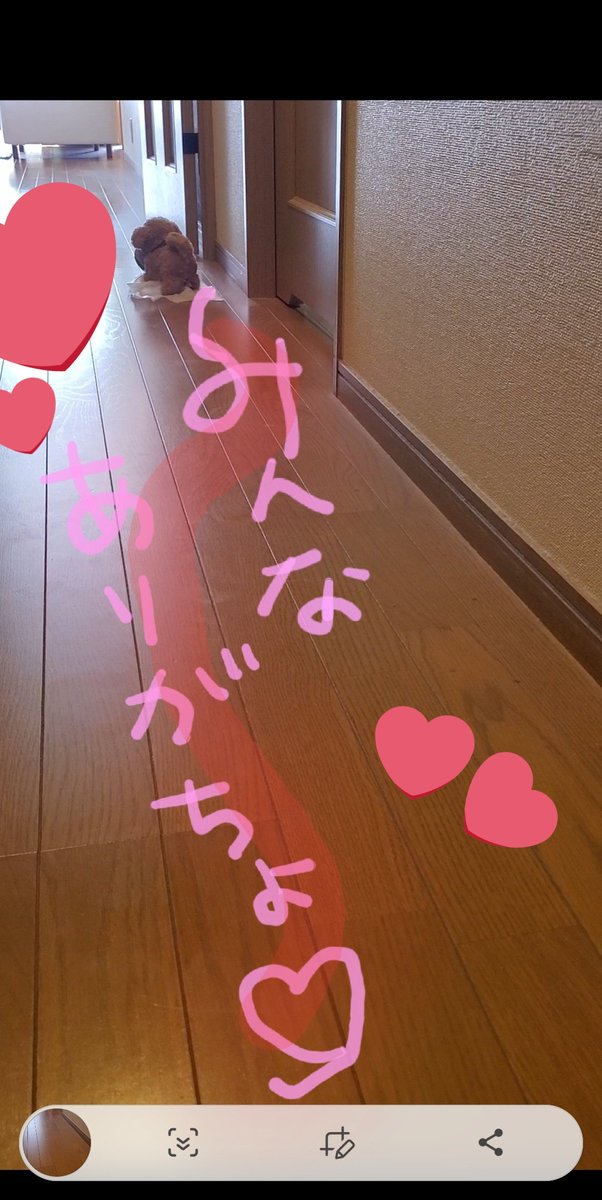 リプライ途中でふが、また明日させていただきます。
みなさんありがとです💕🐶 https://t.co/fO6wC2gWUc